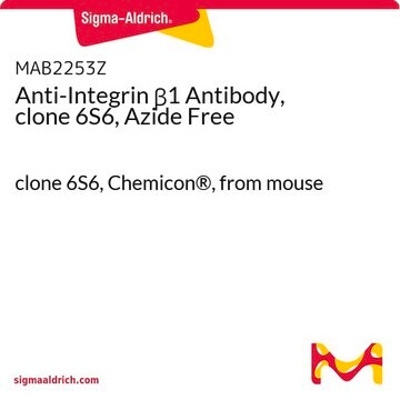 Anti-Integrin &#946;1 Antibody, clone 6S6, Azide Free clone 6S6, Chemicon&#174;, from mouse