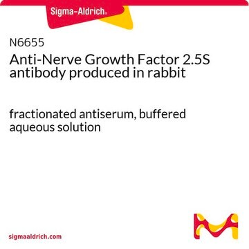 Anti-Nerve Growth Factor 2.5S antibody produced in rabbit fractionated antiserum, buffered aqueous solution