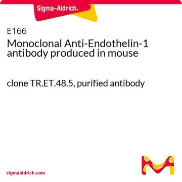 Monoclonal Anti-Endothelin-1 antibody produced in mouse clone TR.ET.48.5, purified antibody