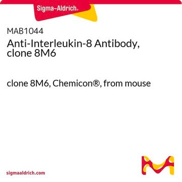 Anti-Interleukin-8 Antibody, clone 8M6 clone 8M6, Chemicon&#174;, from mouse