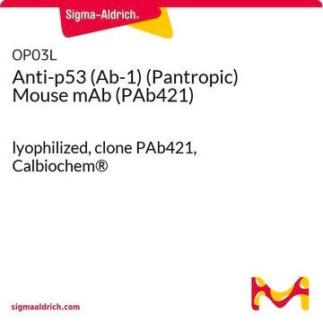 Anti-p53 (Ab-1) (Pantropic) Mouse mAb (PAb421) lyophilized, clone PAb421, Calbiochem&#174;