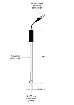 Platinum Microelectrode diam. 10&#160;&#956;m