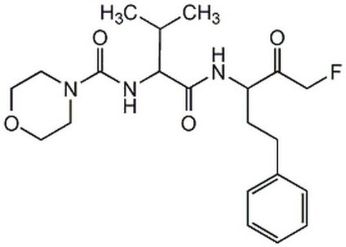 Calpain Inhibitor V The Calpain Inhibitor V controls the biological activity of Calpain. This small molecule/inhibitor is primarily used for Protease Inhibitors applications.