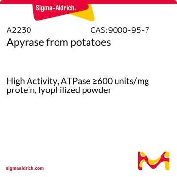 Apyrase from potatoes High Activity, ATPase &#8805;600&#160;units/mg protein, lyophilized powder