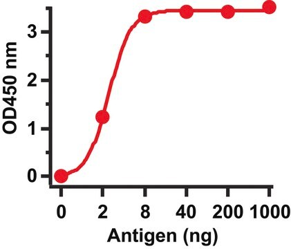 Anti-SARS-CoV Spike antibody produced in rabbit affinity isolated antibody