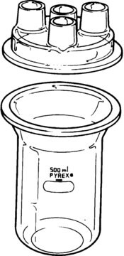 Pyrex&#174; resin reaction kettles capacity 2,000&#160;mL