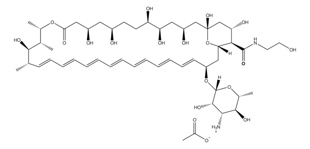 Amphotericin B water soluble from semisynthetic, powder