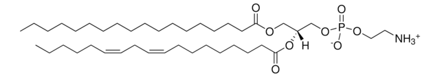 Egg PE Avanti Research&#8482; - A Croda Brand 840021P