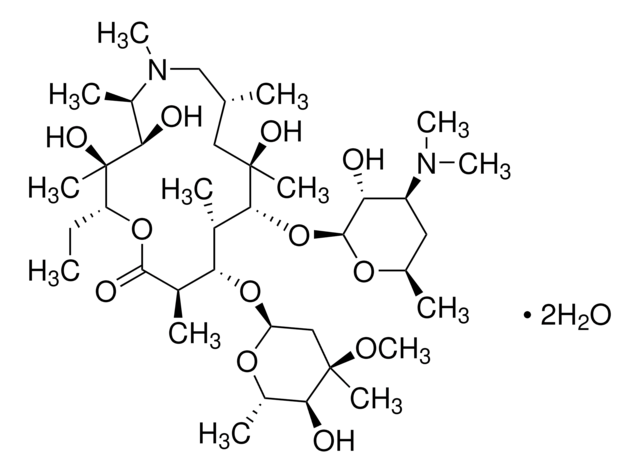 システム適合性用アジスロマイシン European Pharmacopoeia (EP) Reference Standard