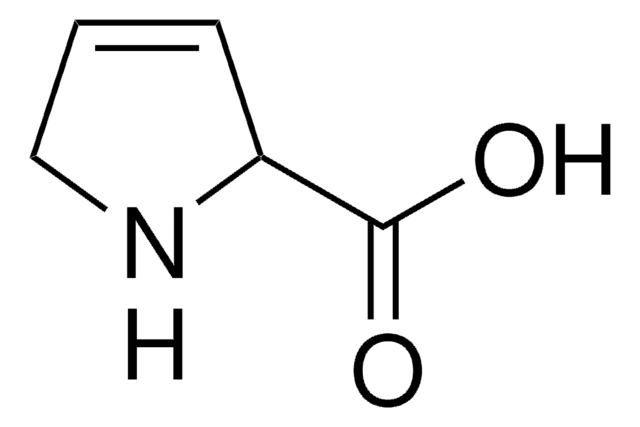 3,4-Dehydro-DL-proline 98%