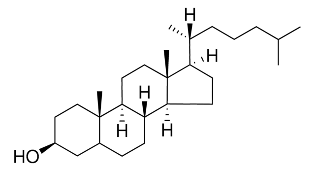 cholestanol Avanti Research&#8482; - A Croda Brand