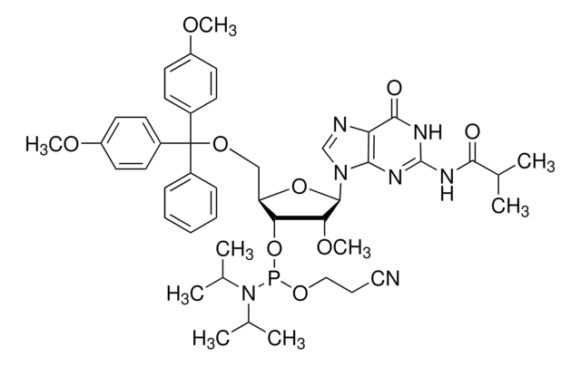 DMT-2&#8242;O-Methyl-rG(ib) Phosphoramidite configured for ABI