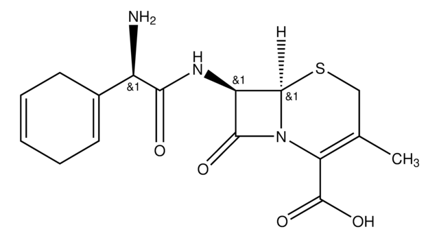 Cephradine British Pharmacopoeia (BP) Reference Standard