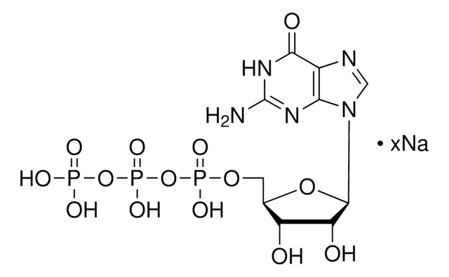 Guanosine 5&#8242;-triphosphate sodium salt solution HPLC purified, aqueous solution for RNA polymerase transcription