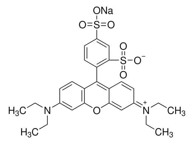 Sulforhodamine B sodium salt powder, BioReagent, suitable for cell culture