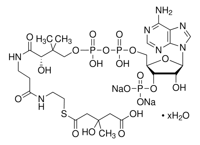 DL-3-ヒドロキシ-3-メチルグルタリルコエンザイムA ナトリウム塩 水和物 from bovine testes &#8805;90% (HPLC)