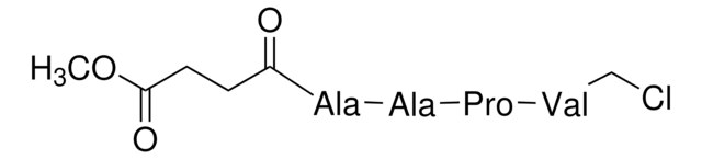 N-(メトキシスクシニル)-Ala-Ala-Pro-Val-クロロメチルケトン elastase inhibitor