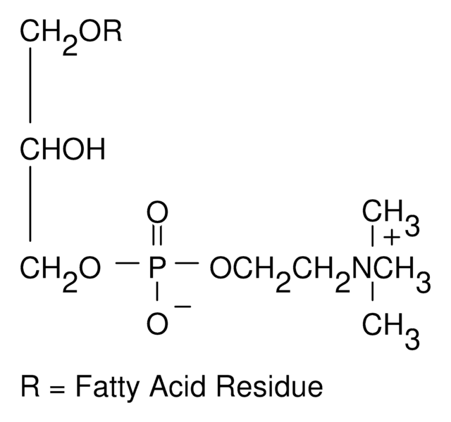 Lysophosphatidylcholine Pharmaceutical Secondary Standard; Certified Reference Material