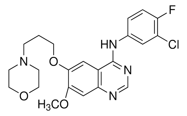 Gefitinib European Pharmacopoeia (EP) Reference Standard