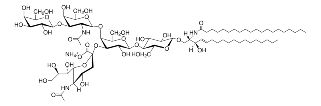 C20:0 GM1 (synthetic) Avanti Research&#8482; - A Croda Brand