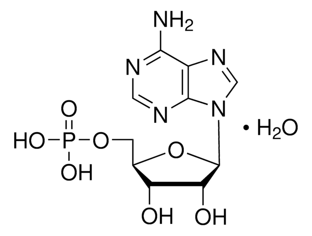 アデノシン 5&#8242;-一リン酸 一水和物 from yeast, &#8805;97%