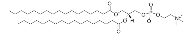 17:0 PC 1,2-diheptadecanoyl-sn-glycero-3-phosphocholine, powder