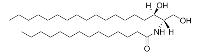 C14 dihydroceramide (d18:0/14:0) Avanti Research&#8482; - A Croda Brand 860632P, powder