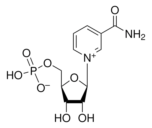 &#946;-ニコチンアミドモノヌクレオチド &#8805;95% (HPLC)