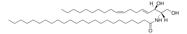 C24:0 Ceramide (d18:2(4E,8Z)/24:0) Avanti Research&#8482; - A Croda Brand 860693P, powder