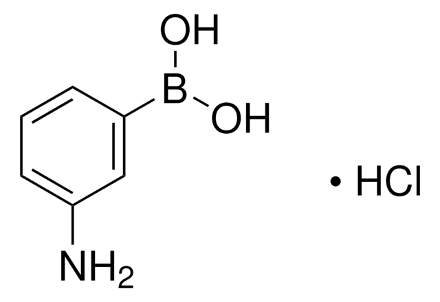 3-アミノフェニルボロン酸 塩酸塩 98%