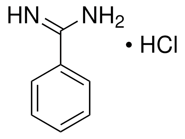 ベンズアミジン 塩酸塩 99%