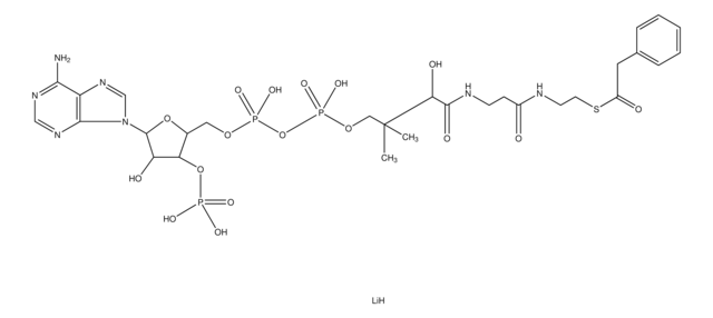 Phenylacetyl coenzyme A lithium salt ~95%