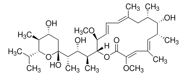 バフィロマイシンA1 Streptomyces griseus由来 &#8805;90% (HPLC)