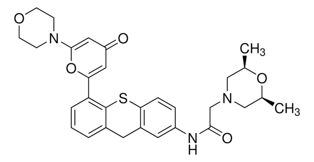 KU-60019 &#8805;97% (HPLC)