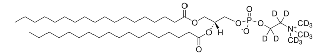 18:0 PC-d13 Avanti Research&#8482; - A Croda Brand 860363P, powder