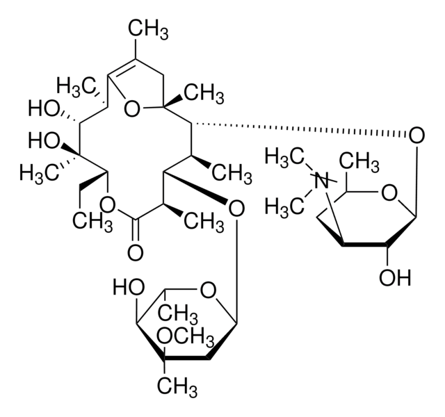 Erythromycin A enol ether analytical standard