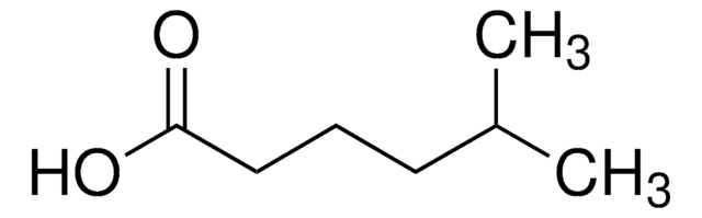 5-Methylhexanoic acid AldrichCPR