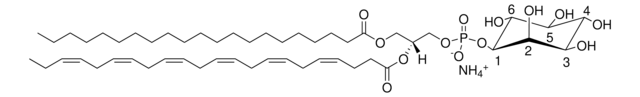 21:0-22:6 PI Avanti Research&#8482; - A Croda Brand