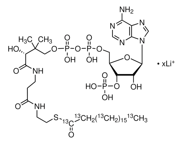 Stearoyl-13C18 coenzyme A lithium salt 99 atom % 13C, 95% (CP)