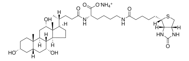 Cholyl-Lys-Biotin Avanti Research&#8482; - A Croda Brand