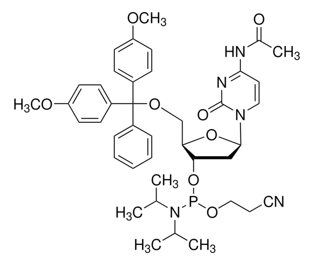 DMT-dC(ac) ホスホロアミダイト &#8805;99.0% (reversed phase HPLC)