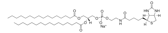 16:0 Biotinyl PE Avanti Research&#8482; - A Croda Brand 870285P, powder