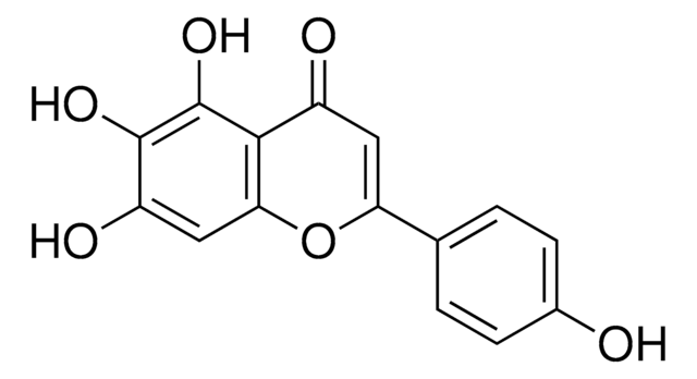 Scutellarein &#8805;98% (HPLC)