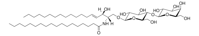 C18 Lactosyl(&#946;) Ceramide (d18:1/18:0) Avanti Research&#8482; - A Croda Brand 860598P, powder