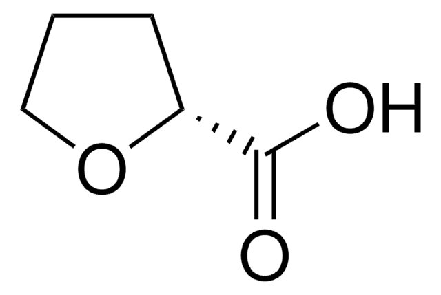 (R)-(+)-Tetrahydro-2-furoic acid 99%