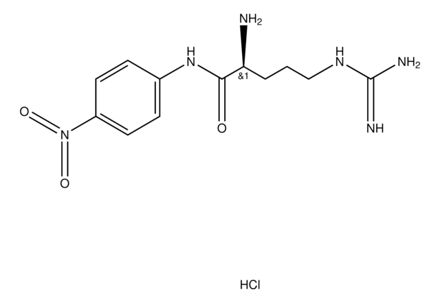 L-Arginine p-nitroanilide dihydrochloride protease substrate