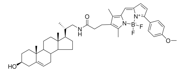 TopFluor TMR cholesterol powder, Avanti Research&#8482; - A Croda Brand