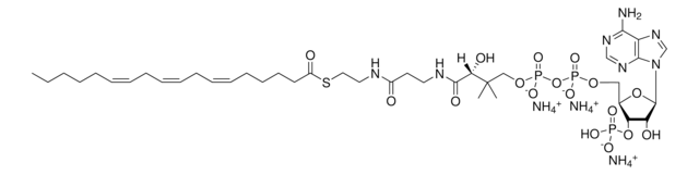 18:3 (n6) Coenzyme A Avanti Research&#8482; - A Croda Brand 870733P, powder