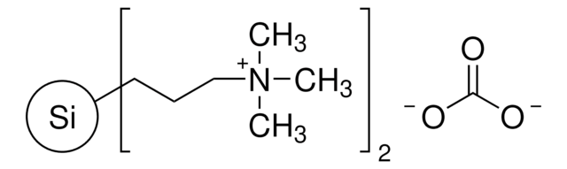 3-(Trimethylammonium)propyl-functionalized silica gel, carbonate 200-400&#160;mesh, extent of labeling: 0.8&#160;mmol/g loading