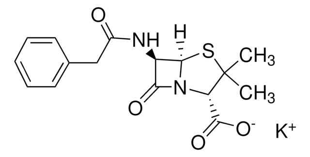 Penicillin G Potassium Pharmaceutical Secondary Standard; Certified Reference Material